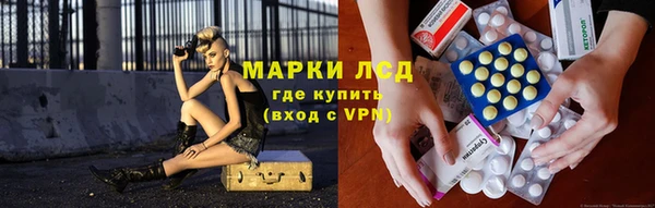 индика Приозерск