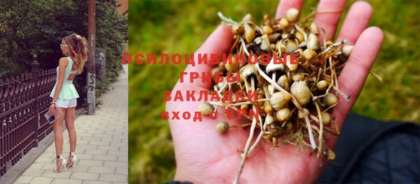 кокс Баксан