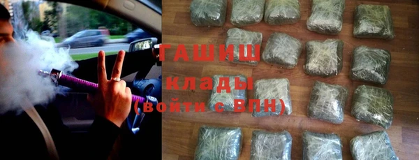 индика Приозерск