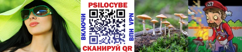наркотики  Яблоновский  Псилоцибиновые грибы Magic Shrooms 